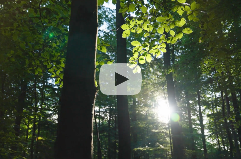 Video starten