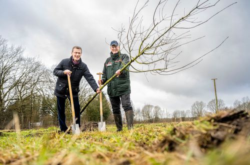 Neuwaldbildung in Warder