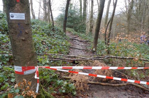 Hütti-Trail vorübergehend gesperrt
