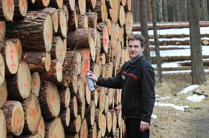 Holzpolter der Försterei Tangstedt
