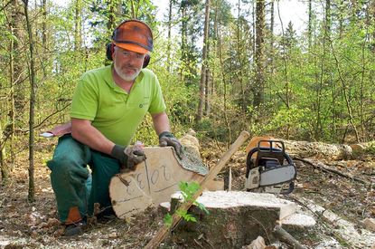 Ausbildung & Karriere bei den Landesforsten