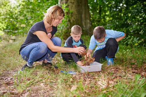 Gemeinsam den Wald entdecken macht Freude und bringt neue Erkenntnisse