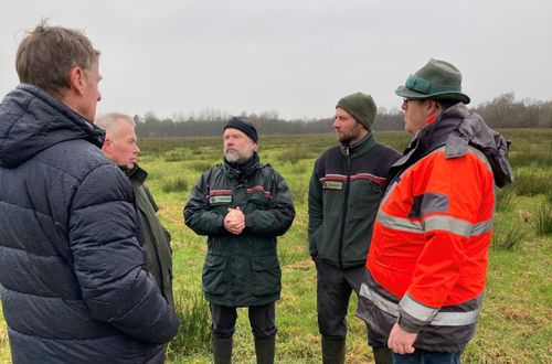 Moorschutzprojekt im Grotmoor