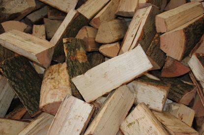 Brennholz