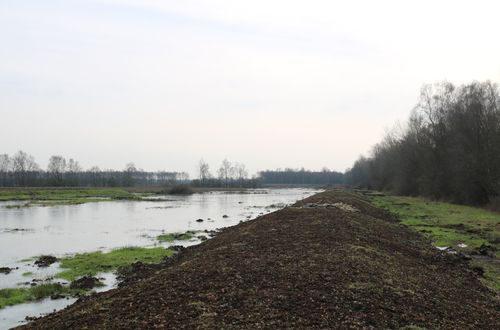 Grotmoor in Schleswig-Holstein