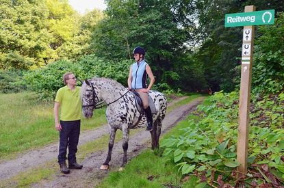 Reiten im Wald