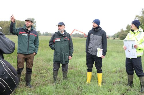 Hochbetrieb im Grotmoor