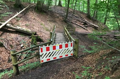 Holzbrücke im Tiergarten Schleswig