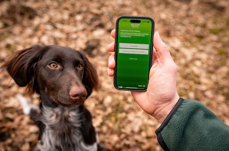 Die Wild-App ist intuitiv und einfach zu bedienen
