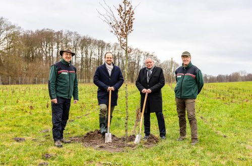 Bäume für Warder